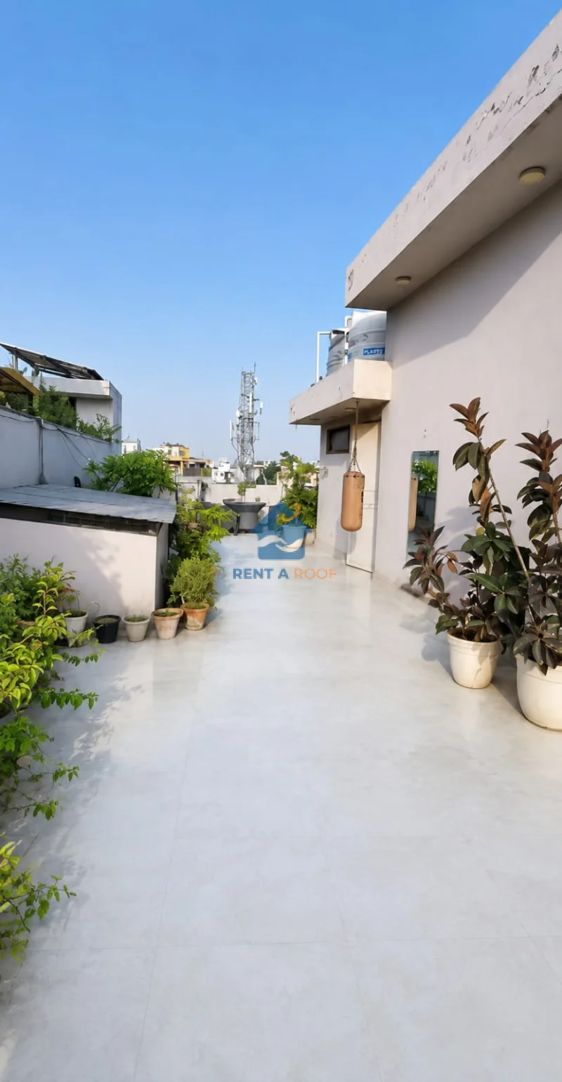 3 BHK on Third + Terrace for Sale in Chittaranjan Park