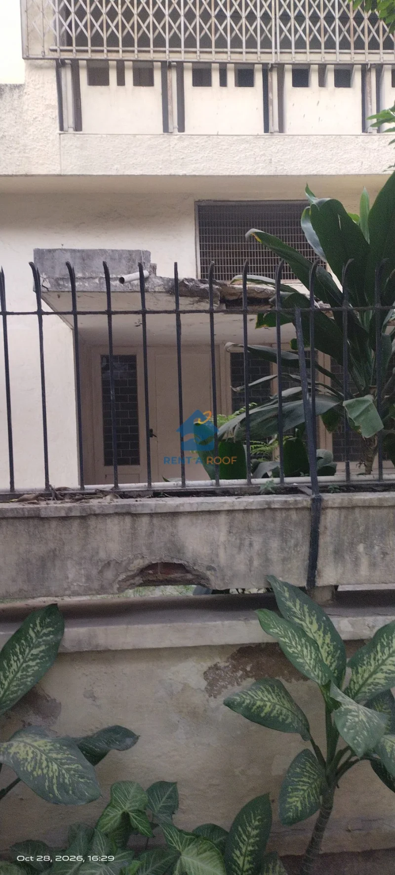 Property on Basement + Ground Floor for Sale in Defence Colony