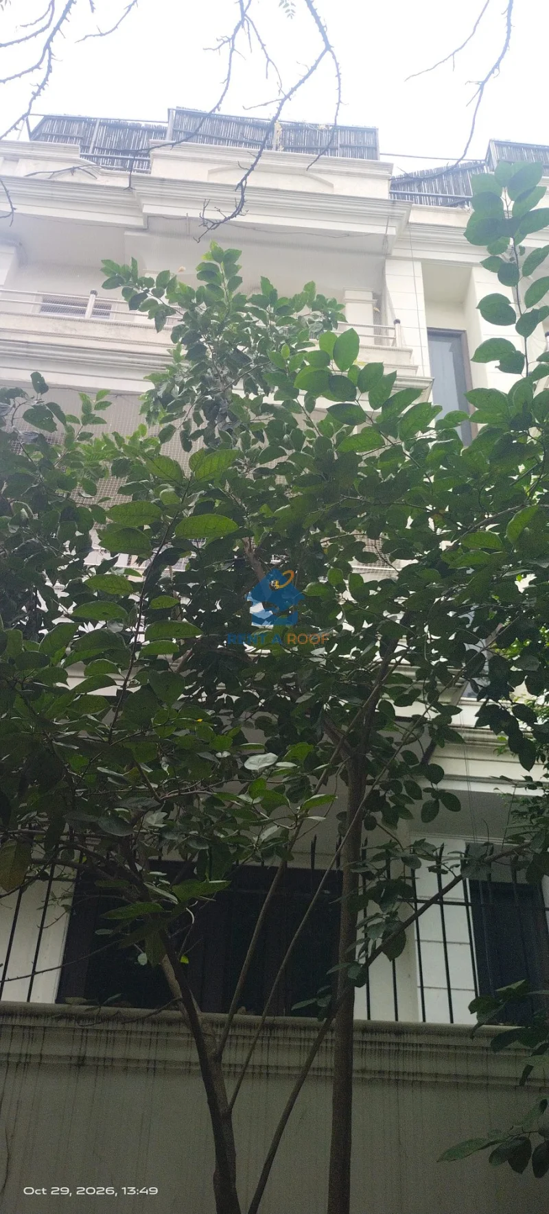 Property on First Floor for Sale in Defence Colony