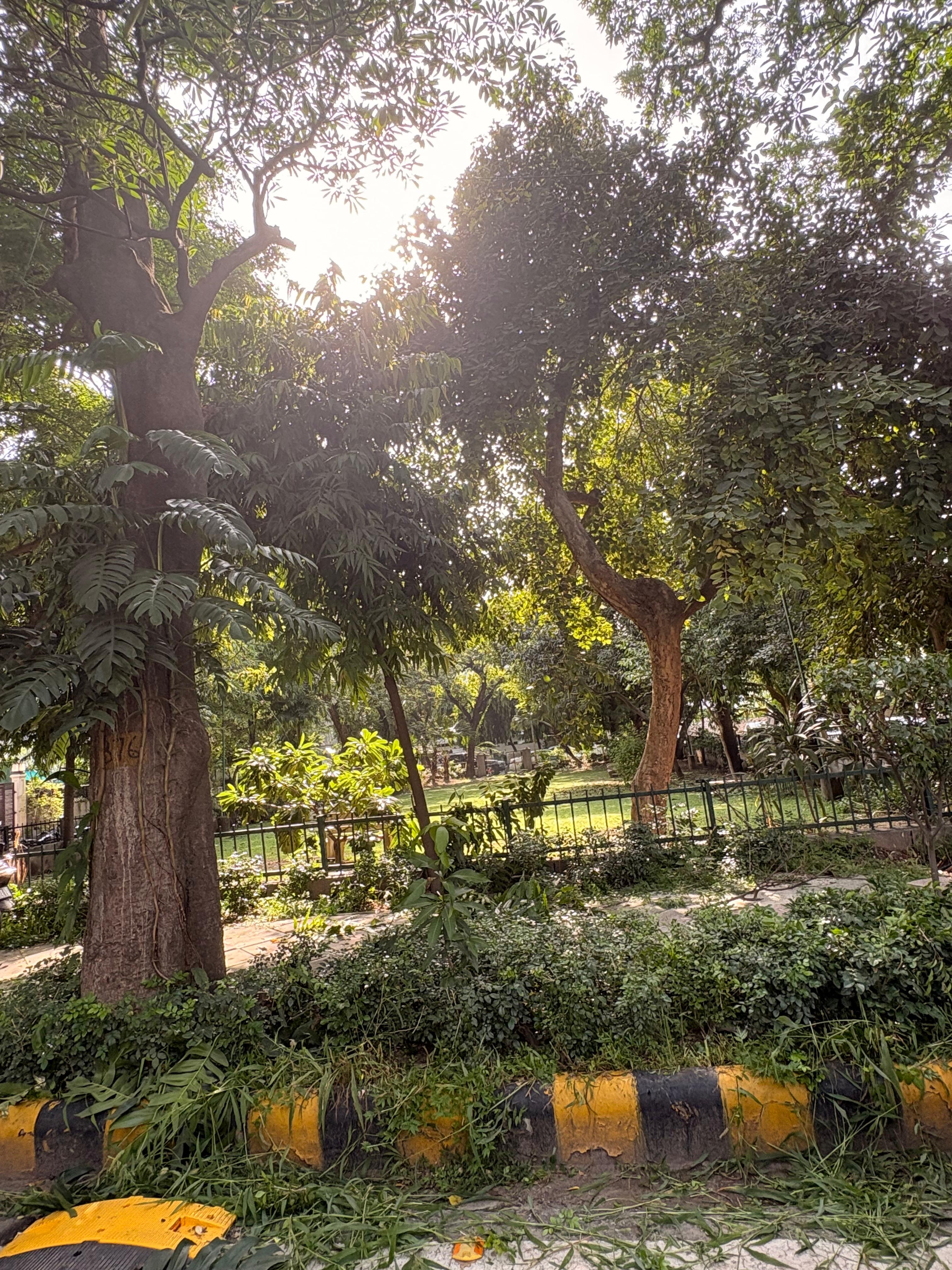 Jor Bagh — New folder